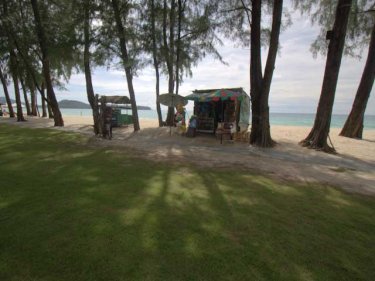 Beach and grassy bank at the Dusit Thani Laguna Phuket