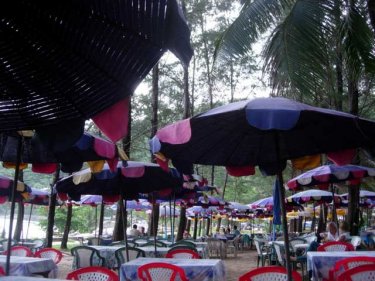 Nai Harn beach is backed by a grove of casuarinas and restaurants