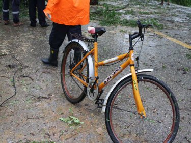 The bicycle that the two Phuket mates rode under the tamarind
