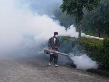 Dengue spray in Phuket: eradicating the breeding pools is preferred