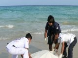Phuket Drowning: Aussie Calls for Improvements at Karon