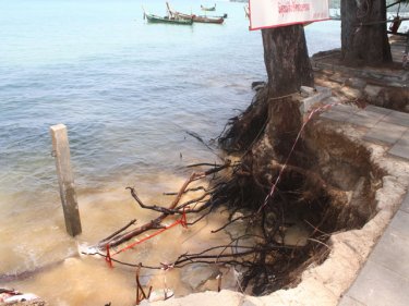 The section of damaged Phuket foreshore where trees are endangered