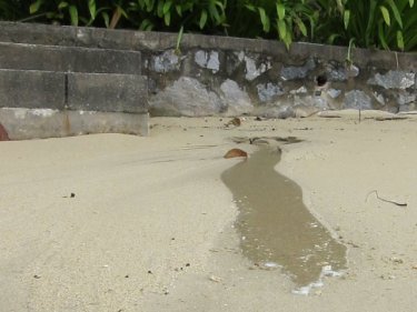 Bad water smelling of urine seeps through sand at a Phuket beach