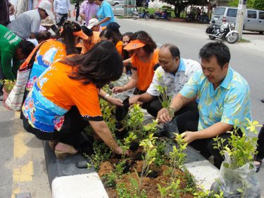Phuket residents and officials work on a median planter box