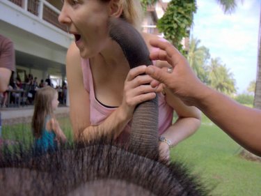 Most encounters with elephants on Phuket are friendly