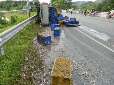 The driver of the pickup that was heading off Phuket has been charged