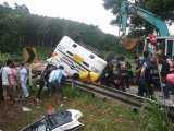 Crash North of Phuket Kills Man, Sheds Rubber Tree Load
