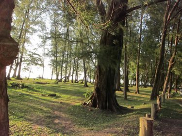 Inside Phuket's Sirinath National Park, with the quiet beach nearby