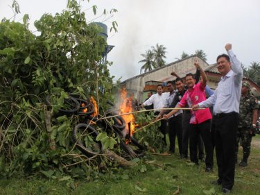 Burn, kratom, burn: Phuket officials light the anti-drugs fire yesterday