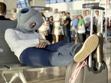 The Ostrich Pillow,  a heads-up on how to survive jet lag in Editor's Choice