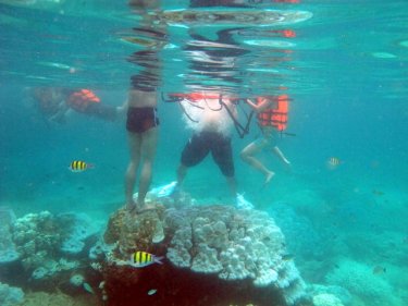 Tourists on a reef, not quite getting it right