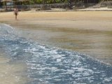 Tourist Beach Marred, Locals Fall Sick