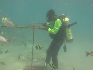 A handrail under the water is dismantled off Phuket yesterday