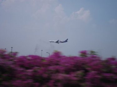 A Thai Airways flight comes in to land at Bangkok's Suvarnabhumi Airport