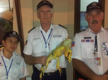 Phuket Region 8 police volunteers with an iguana last week