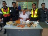 Phuket Expat Charged Over Coral Taken From Indonesian Waters
