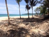 Doors Open for Phuket Beach Vendors: Surin Businesses Offered DIY Demolition