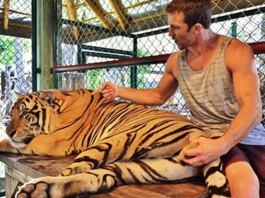 Squeezed to meet you: a Phuket tiger with UFC fighter Luke Rockhold