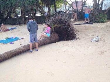Storms have ripped trees from Phuket's Kata beach shorefront