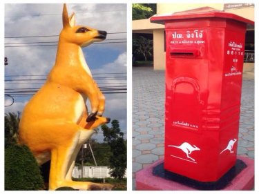 Phuketwan has found evidence that giant kangaroos once lived in Thailand, judging by the Jingjo waystop on the main road through Chumpon province