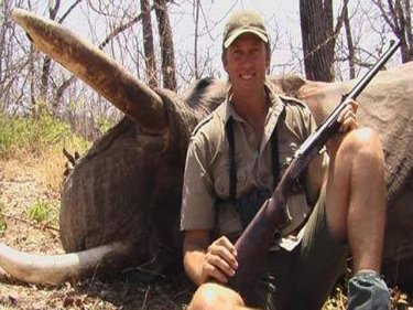 Glenn McGrath with dead elephant: It's a low-contact sport