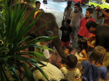 A young elephant greets children during a session at Phuket's Dino Park