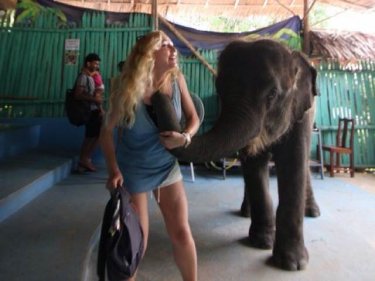 Performing elephant Somjai appears to enjoy the Baby Elephant Show