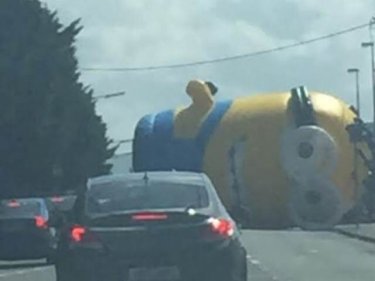 Who put the Irish wind up the Minion? It escaped to a roadway