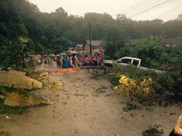 A landslip and falling trees crushed cars south of Patong late yesterday