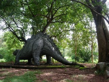 Evidence that there are still at least two dinosaurs roaming Phuket.