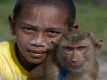A boy from Koh Lon and his pet monkey