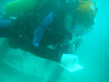 A marine conservation diver checks damage to  the coral