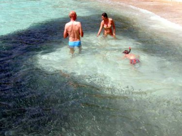 The beach on Koh Racha, where tourists play with a school of fish