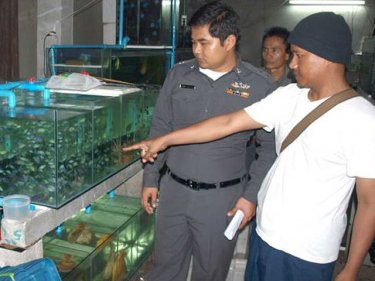 Inside the secret aquarium used by the alleged Phuket poacher