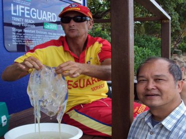 Phuket jellyfish researcher Dr Somchai Bussarawit, on a recent study tour with a deadly ''boxie'' in Australia.  Dr Somchai is now based in Bangkok