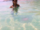 Jellyfish Menace Spreads in Thailand Waters
