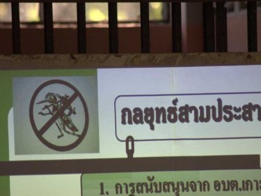 Phuket's campaign to exterminate the dengue-carrying mosquito is underway