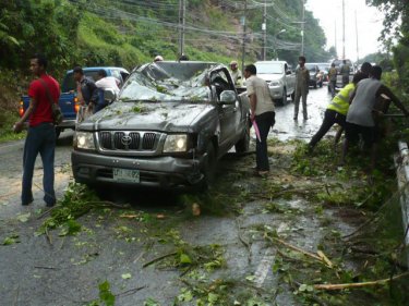 A man and a boy were injured when a tree fell on the Patong-Kamala road