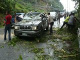 Phuket Storms Topple Tree, Two Hurt: Traffic Chaos in Weather Warning