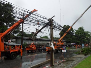 A tree topples onto powerlines near Tourist Police HQ in Phuket City
