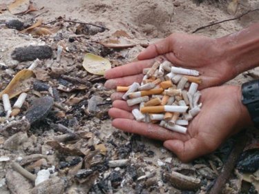 Careless smokers are adding to the rapid deterioration of prime natural sites