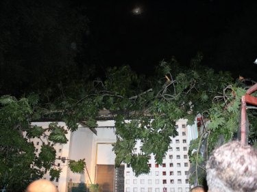 A large toppled tree lies on top of a Phuket City house last night