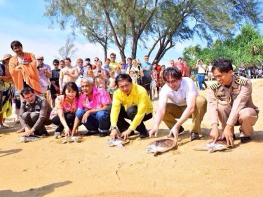 Governor Maitree (centre, yellow shirt) joins yesterday's turtle release