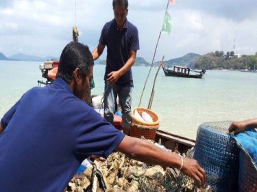 The haul of coral nabbed by Phuket marine biologists and police today