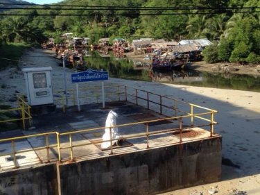 Photos sent by a Phuketwan reader show waste moving along Patong's Pak Bang Canal today. Waste discharge has created a crisis on Phuket