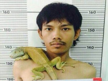 A Phuket iguana tout is photographed with his innocent accomplice