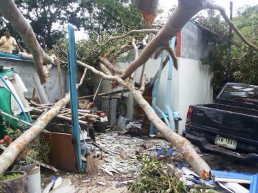 More storms of the kind that toppled a Banyan tree are forecast for Phuket