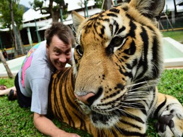 The big cat enclosure at Phuket's Tiger Kingdom is closed for now