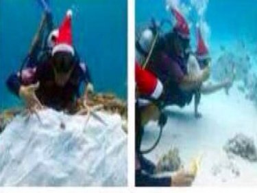 Tourist divers in Santa hats show off starfish underwater off Phuket