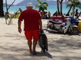Phuket Governor Kills Patong Mayor's Plan to Permit Tourists to Bring  Beach Chairs